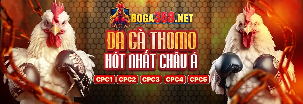 Đá gà trực tuyến kịch tính tại Cá Xèng